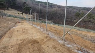 김기득 님의 사과 · 영농일지 작성글 사진