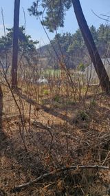 이철수님의 작성글 사진