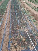 이한재님의 작성글 사진