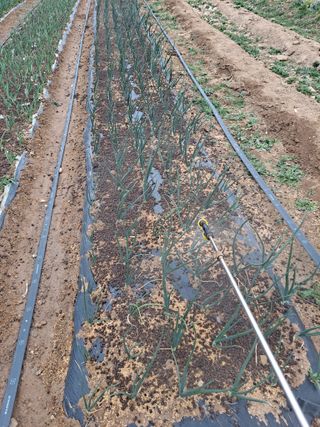 이한재님의 사과 · 영농일지 작성글 사진