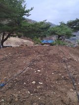 팜모닝 기타작물·영농일지 게시글 이미지