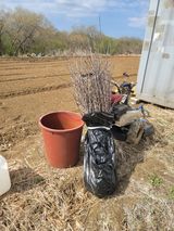 신승철님의 작성글 사진