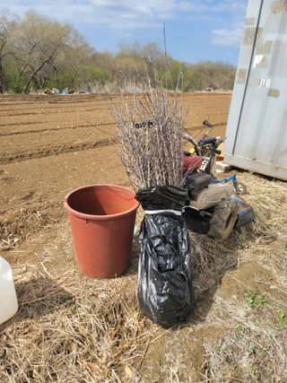 신승철님의 사과 · 영농일지 작성글 사진
