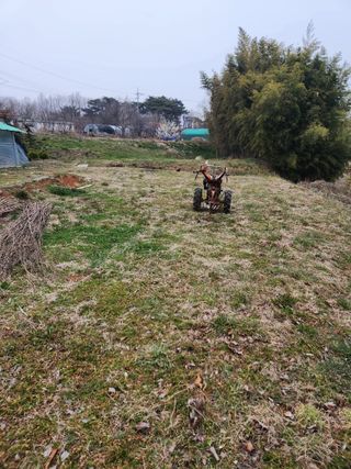 벙개도리님의 기타작물 · 영농일지 작성글 사진