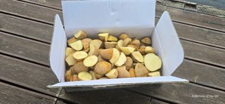 산골아찌님의 감자 · 영농일지 작성글 사진