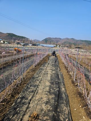 유제상님의 기타작물 · 영농일지 작성글 사진