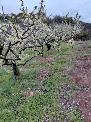 심무재 님의 기타작물 · 영농일지 작성글 사진