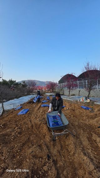 최연태님의 기타작물 · 영농일지 작성글 사진