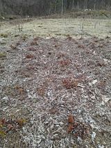 팜모닝 기타작물·영농일지 게시글 이미지