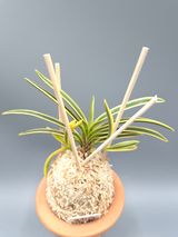 윤의용님의 작성글 사진