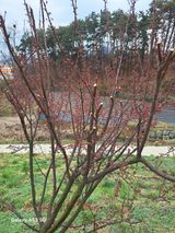 조연만님의 작성글 사진