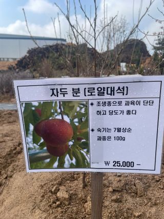 송강섭님의 기타작물 · 영농일지 작성글 사진