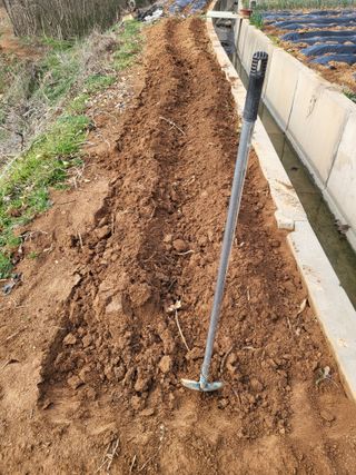 최병우님의 벼 · 영농일지 작성글 사진