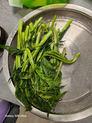 김종협님의 기타작물 · 영농일지 작성글 사진