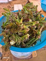 박성균님의 작성글 사진