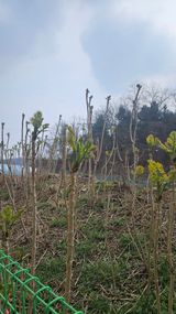 이순정님의 작성글 사진