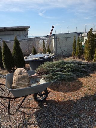 영천경마장조경수농원님의 기타작물 · 영농일지 작성글 사진