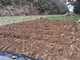 그린아빠님의 고추 · 영농일지 작성글 사진