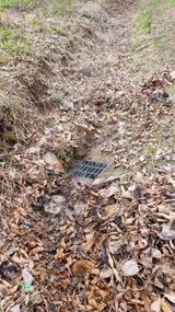 김동명님의 작성글 사진