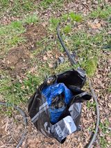 팜모닝 기타작물·영농일지 게시글 이미지