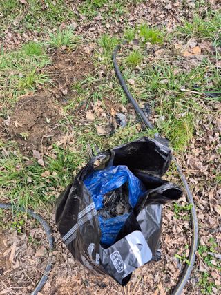 상숙님의 기타작물 · 영농일지 작성글 사진