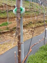 보공(김대호)님의 작성글 사진