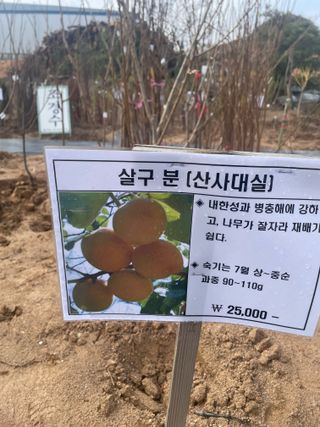 송강섭님의 기타작물 · 영농일지 작성글 사진