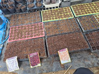 비타민님의 콩 · 영농일지 작성글 사진