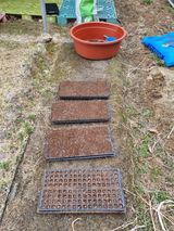 팜모닝 옥수수·영농일지 게시글 이미지