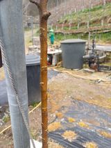 보공(김대호)님의 작성글 사진