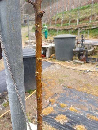 보공(김대호)님의 기타작물 · 영농일지 작성글 사진