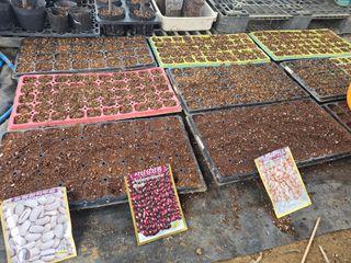 비타민님의 콩 · 영농일지 작성글 사진