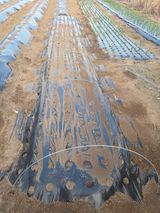 정민지호맘님의 작성글 사진