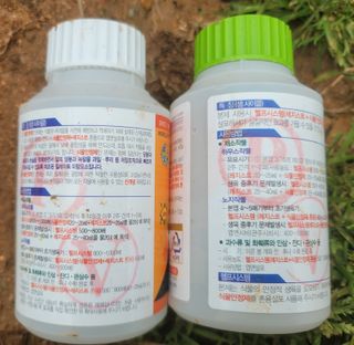 이용찬 열매마농원님의 기타작물 · 영농일지 작성글 사진