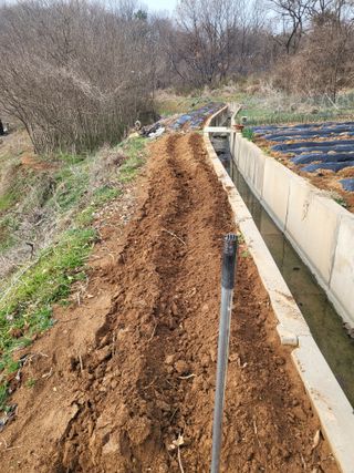 최병우님의 벼 · 영농일지 작성글 사진