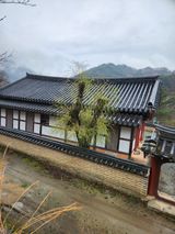 김영암님의 작성글 사진