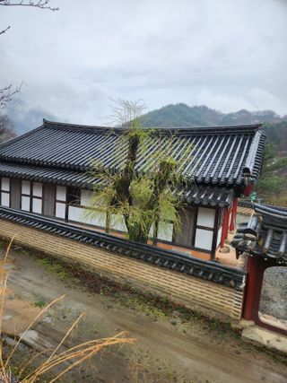 김영암님의 기타작물 · 영농일지 작성글 사진