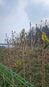 이순정님의 작성글 사진