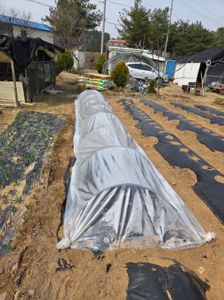 정민지호맘님의 기타작물 · 영농일지 작성글 사진