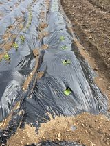 김유숙님의 작성글 사진