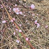 동동예행복농장님의 작성글 사진