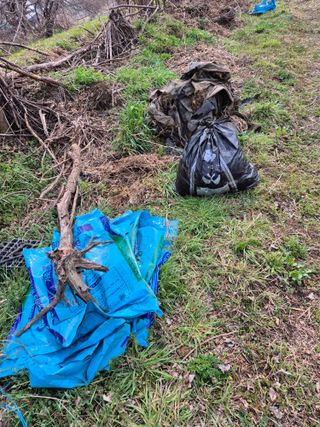 상숙님의 기타작물 · 영농일지 작성글 사진