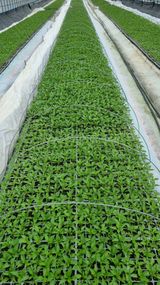 박미연님의 작성글 사진