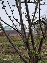 조연만님의 작성글 사진