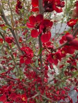 김영순님의 작성글 사진