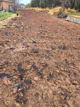 팜모닝 기타작물·영농일지 게시글 이미지