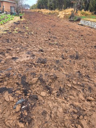 홍순오님의 기타작물 · 영농일지 작성글 사진