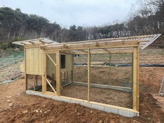 송강섭님의 작성글 사진