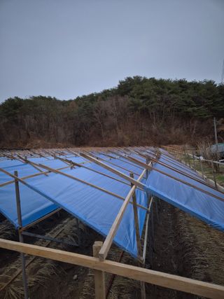 노나라138님의 기타작물 · 영농일지 작성글 사진