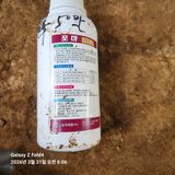 김성훈님의 작성글 사진